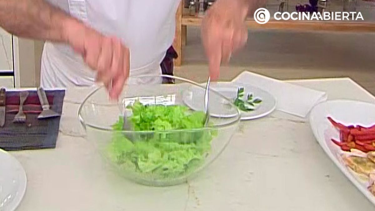 karl6784 pavo mechado p4