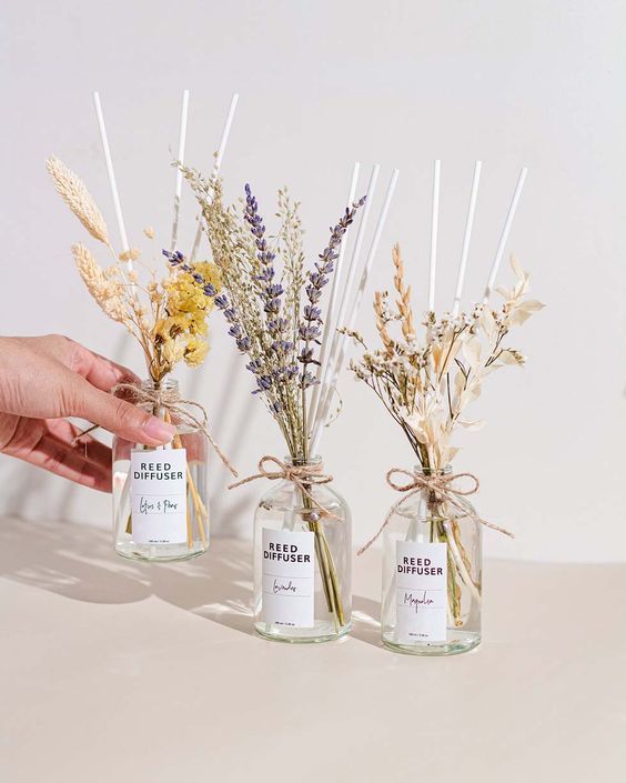 reutilizar frascos vidrio colonias plantitas wedding style