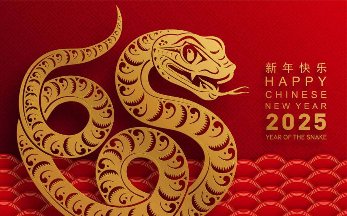 El Año de la Serpiente trae de su mano sabiduría, transformación y crecimiento.