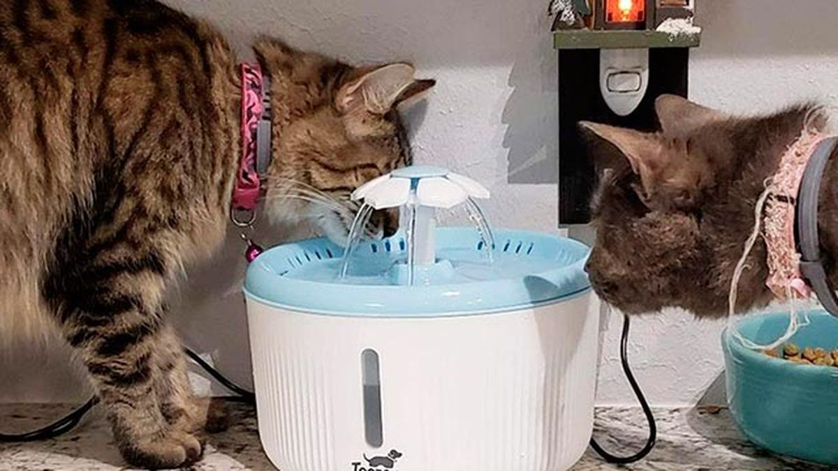 Este regalo puede ser una gran opción para mantenerle hidratado.