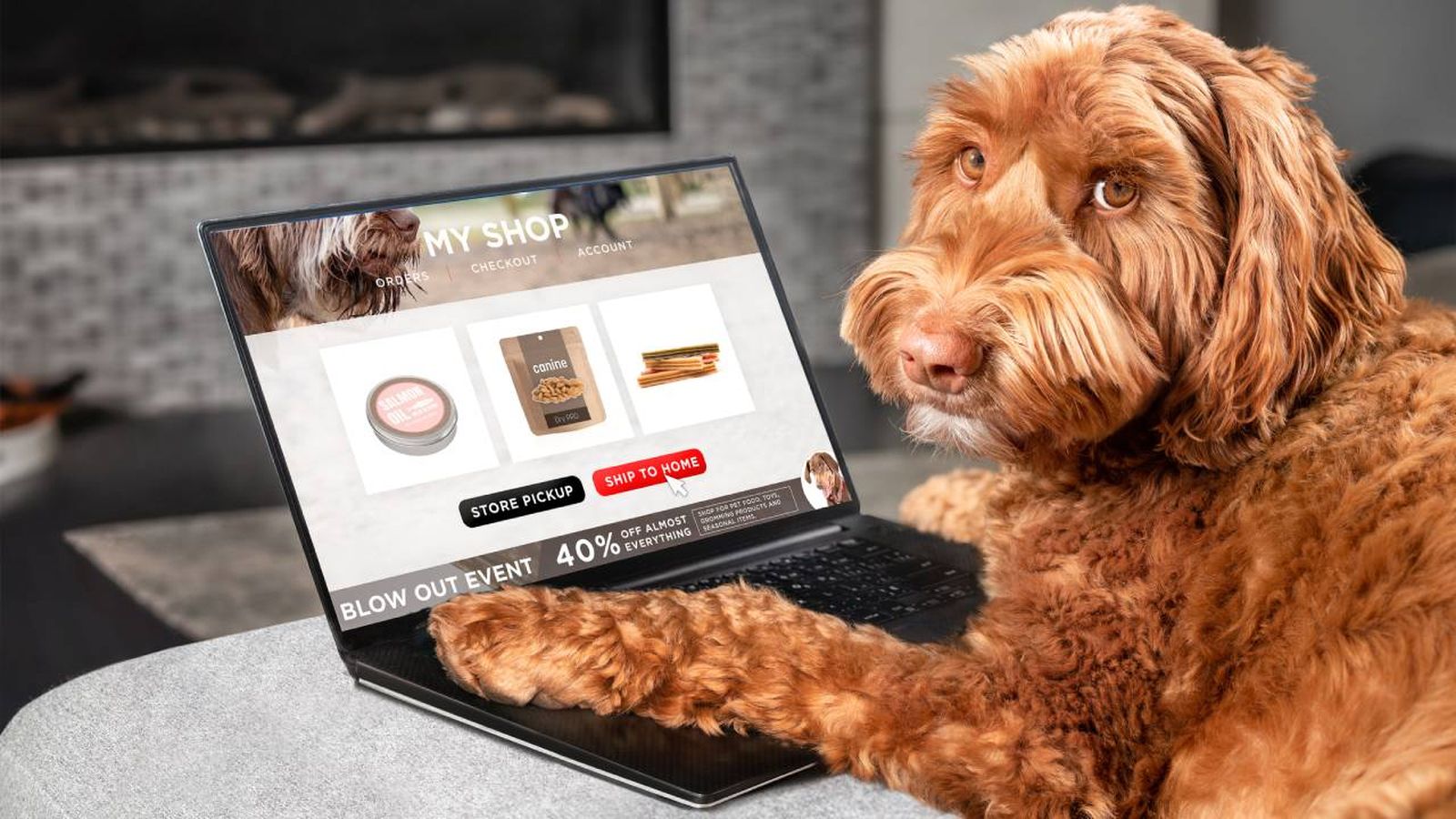productos para perros mas vendidos compra online amazon