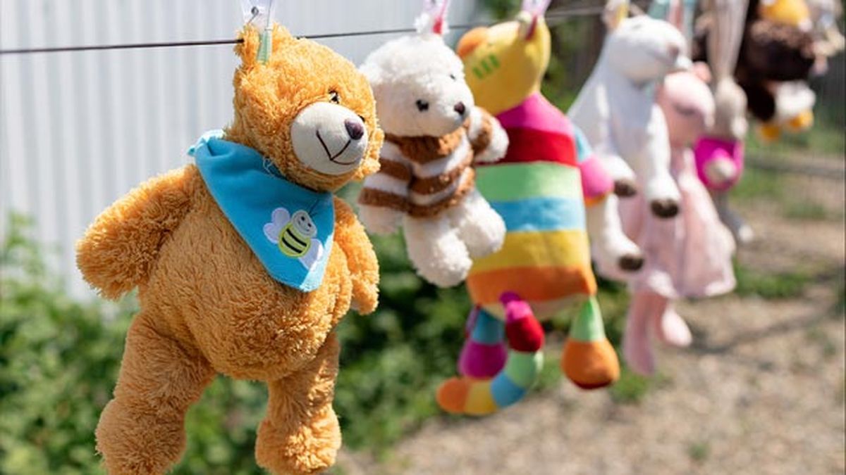 como lavar peluches casa productos limpieza seco lavadora