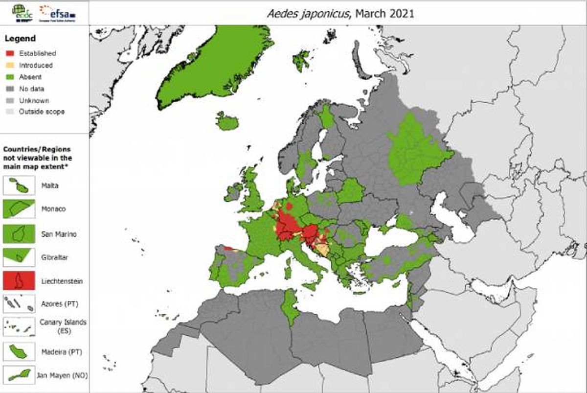 mapa distribucion en europa mosquito del Japon Aedes japonicus