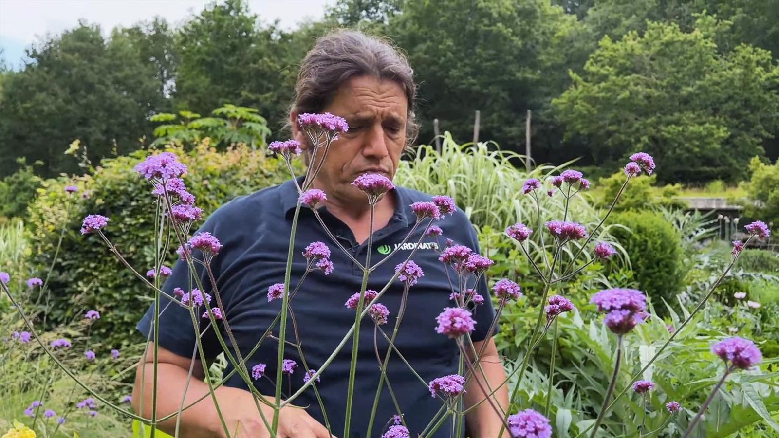 flores blancas y lilas para el jardin jardinatis