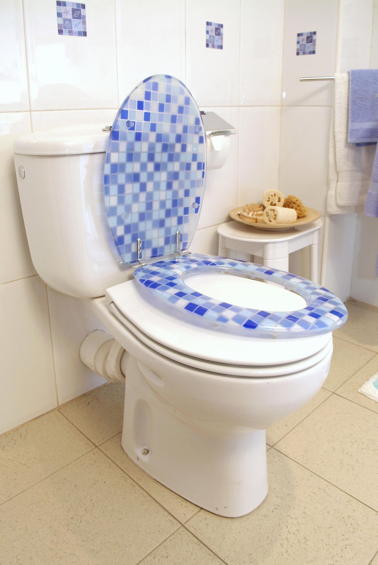 brico 0509 1 colocar tapa inodoro decorativa xl