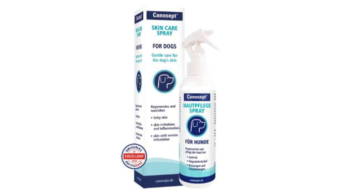 spray antialergia perros canosept amazon