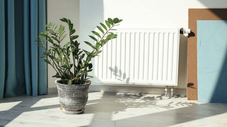 como afecta la calefaccion humedad plantas interior