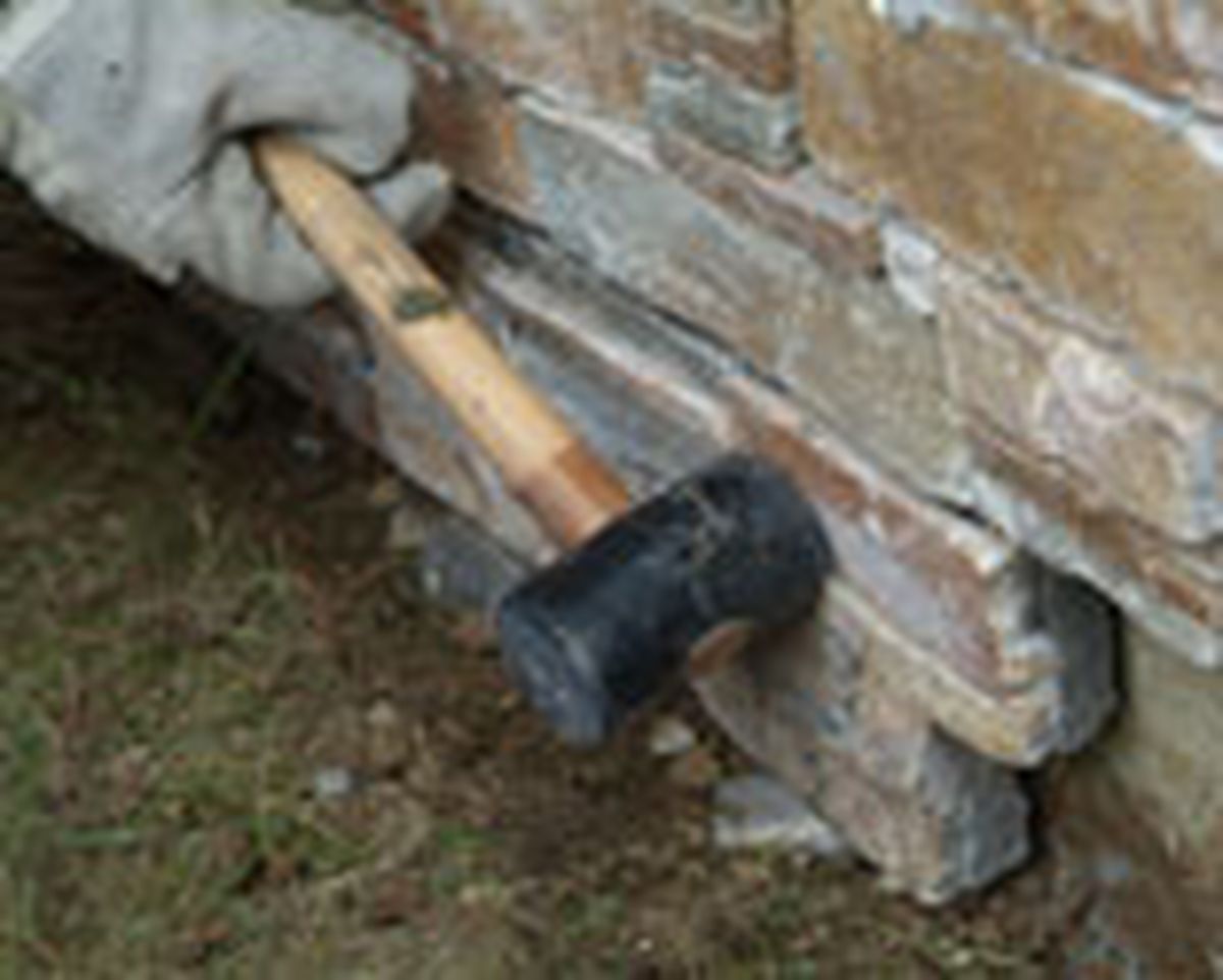 462 pied nat ext p26