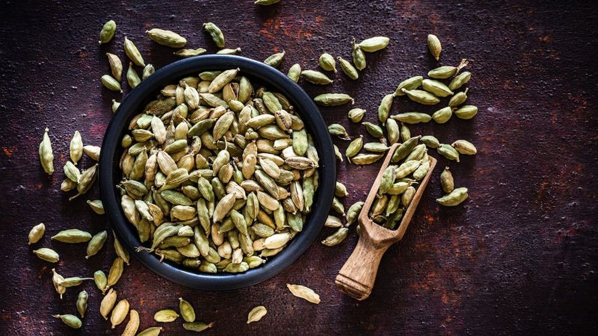 Cardamomo