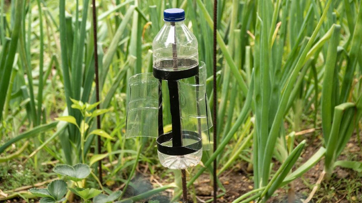 ideas para reciclar garrafas de plastico 2