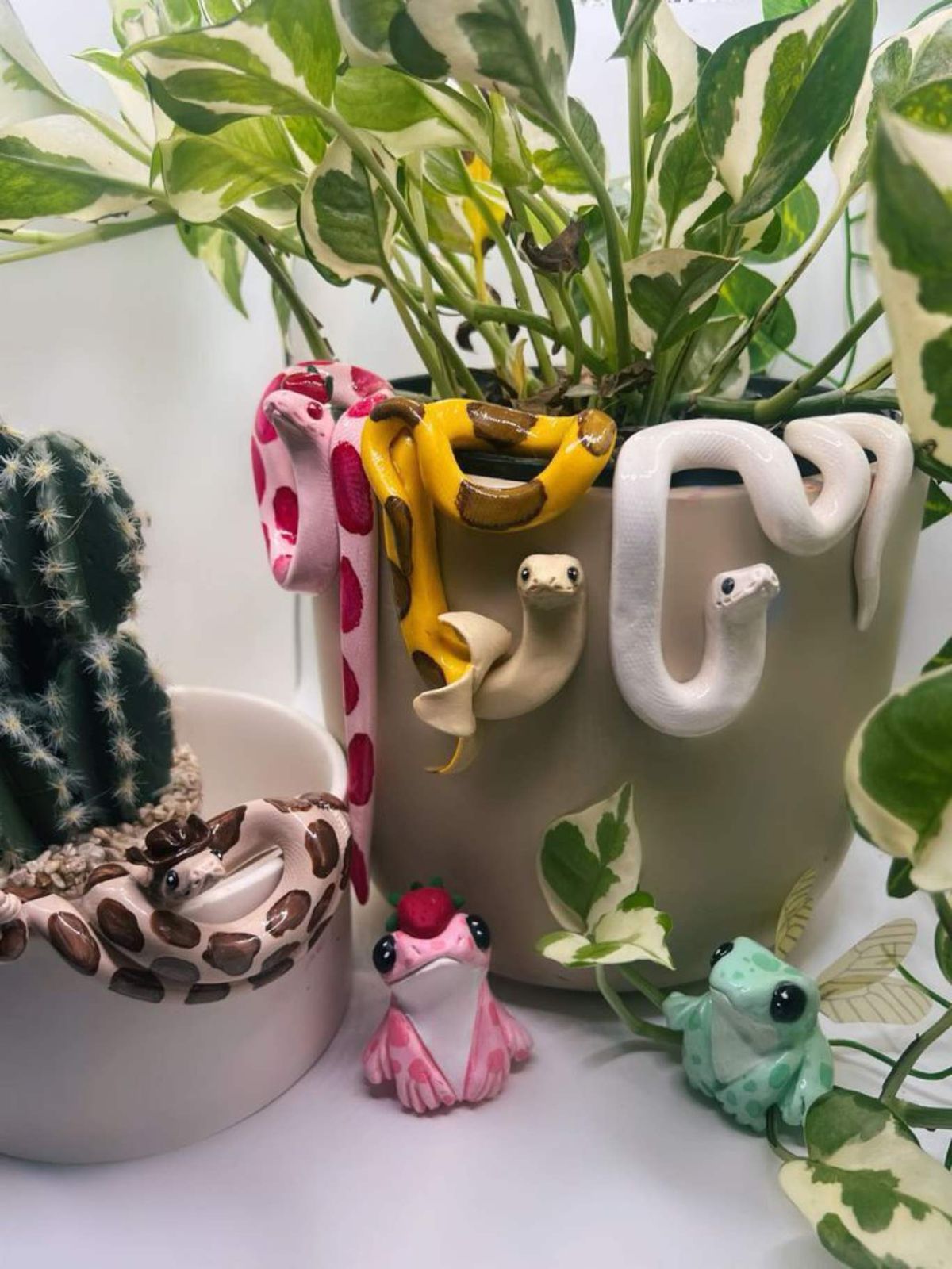 Serpientes coloridas para macetas. / Foto Pinterest: @megansphotoss
