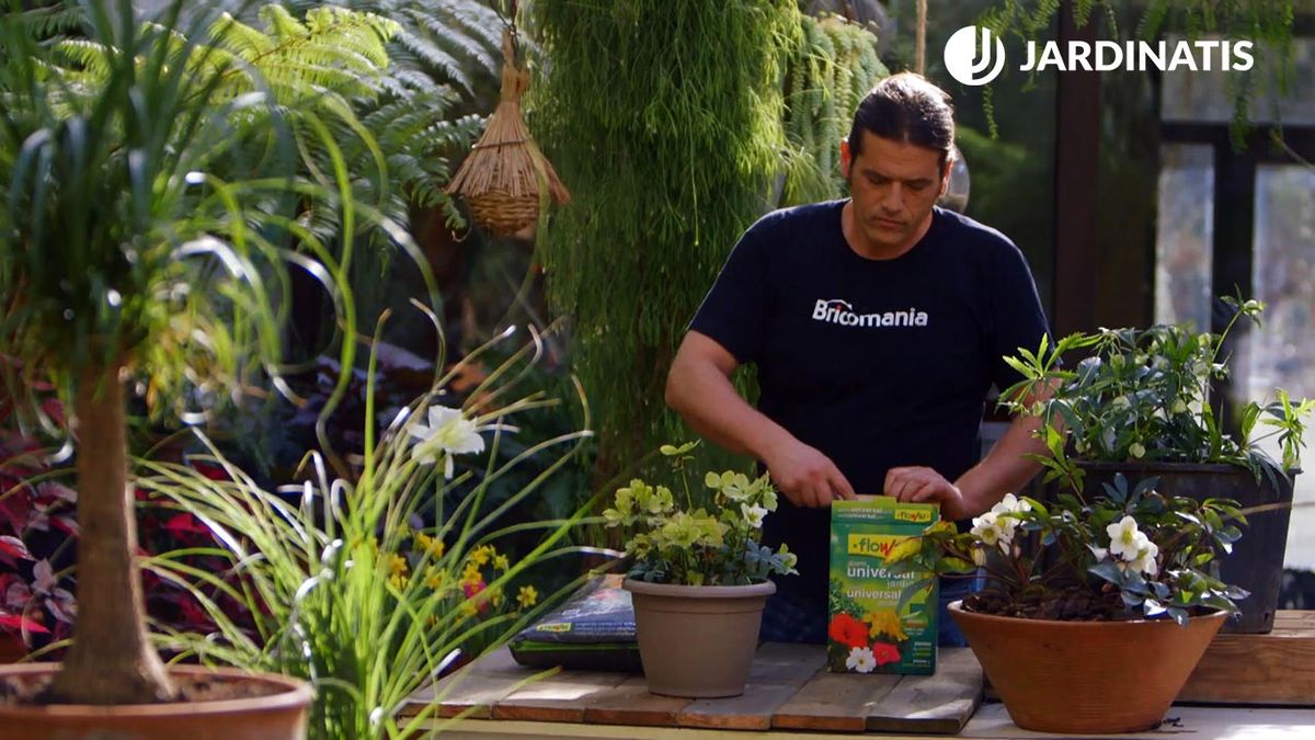 brico 0905 3 2 tipos abonos usos abono jardin