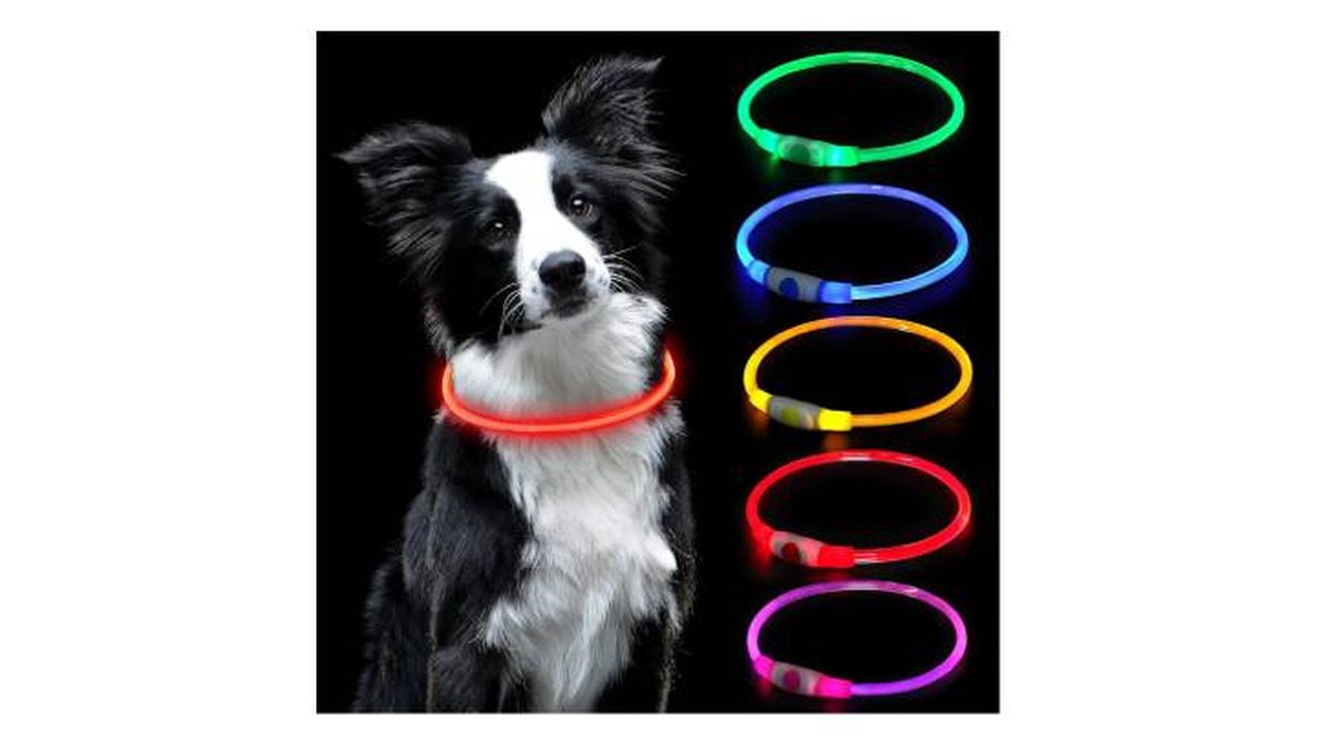 collar led perro auauy amazon