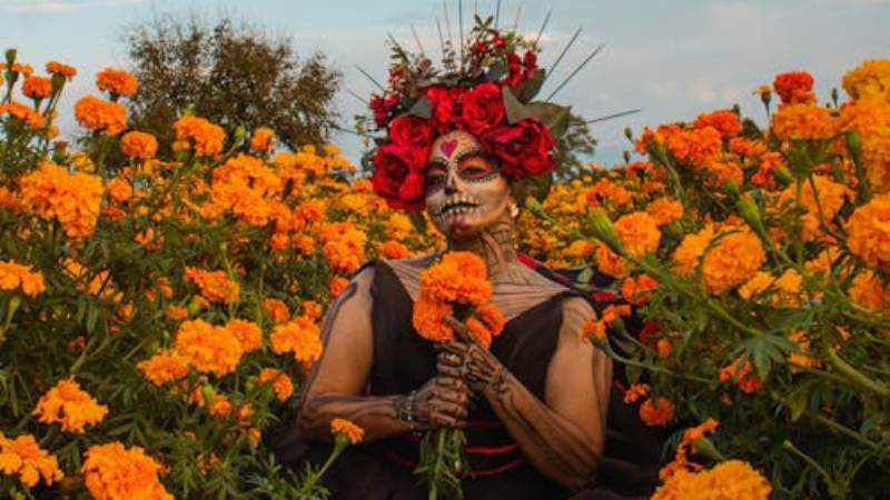 La flor que revive a los muertos.