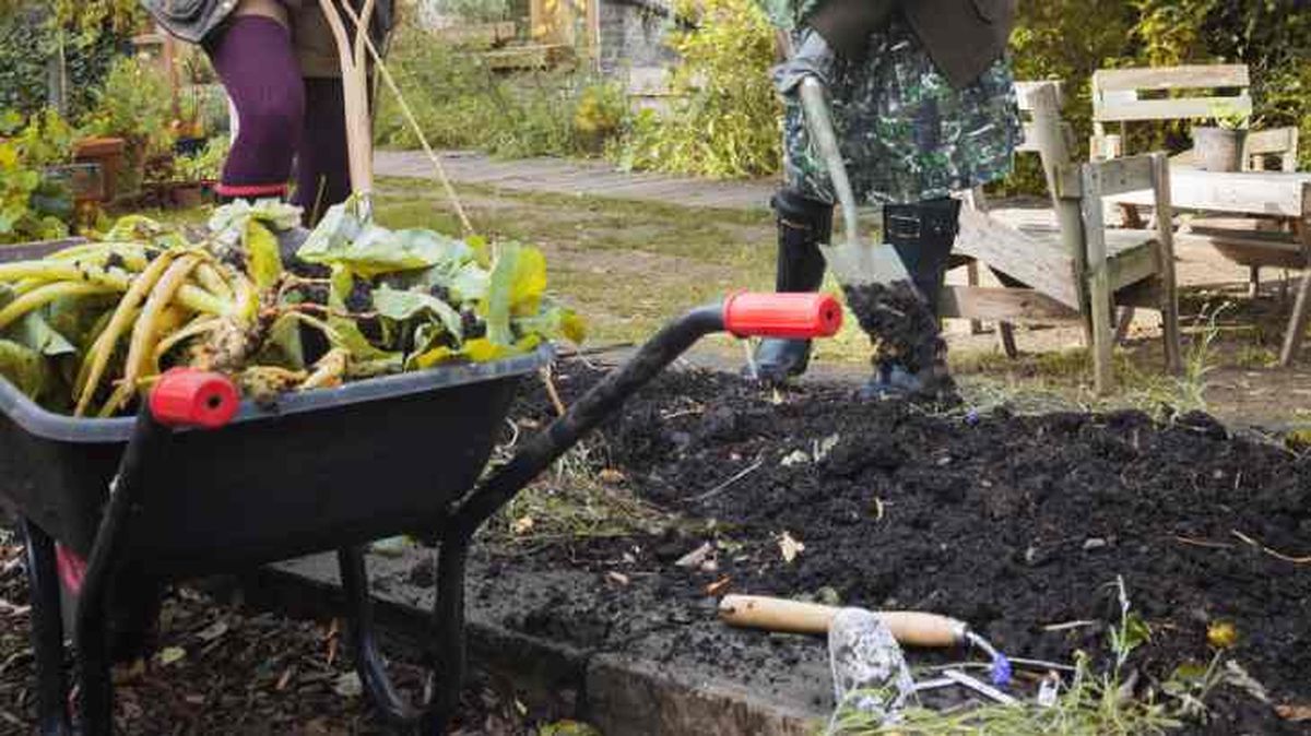 preparar huerto invierno