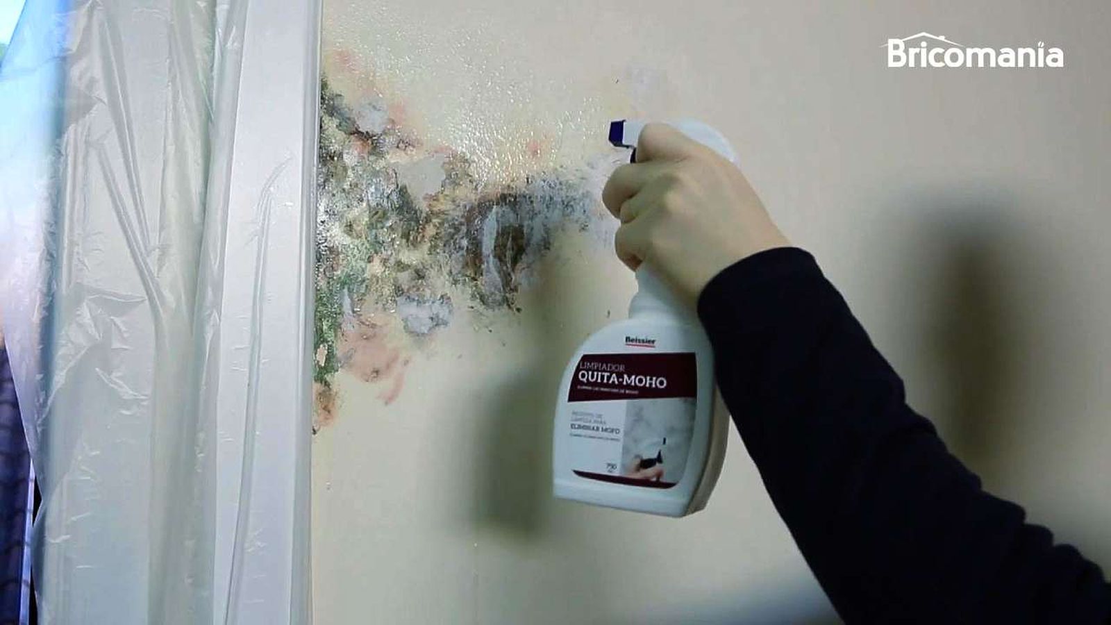 Pared con mancha de moho