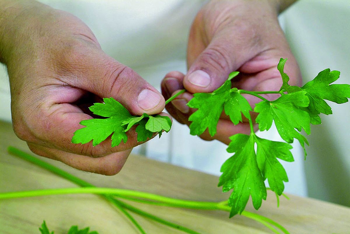 receta picar perejil paso1