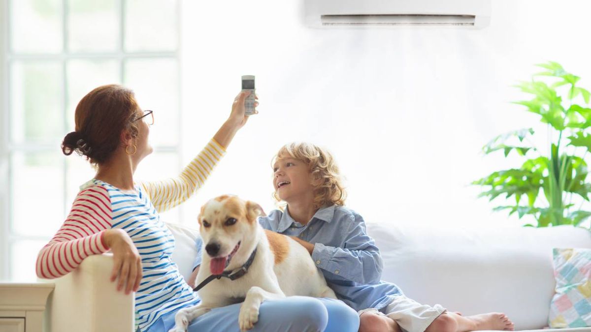 aire acondiconado es bueno para los perros