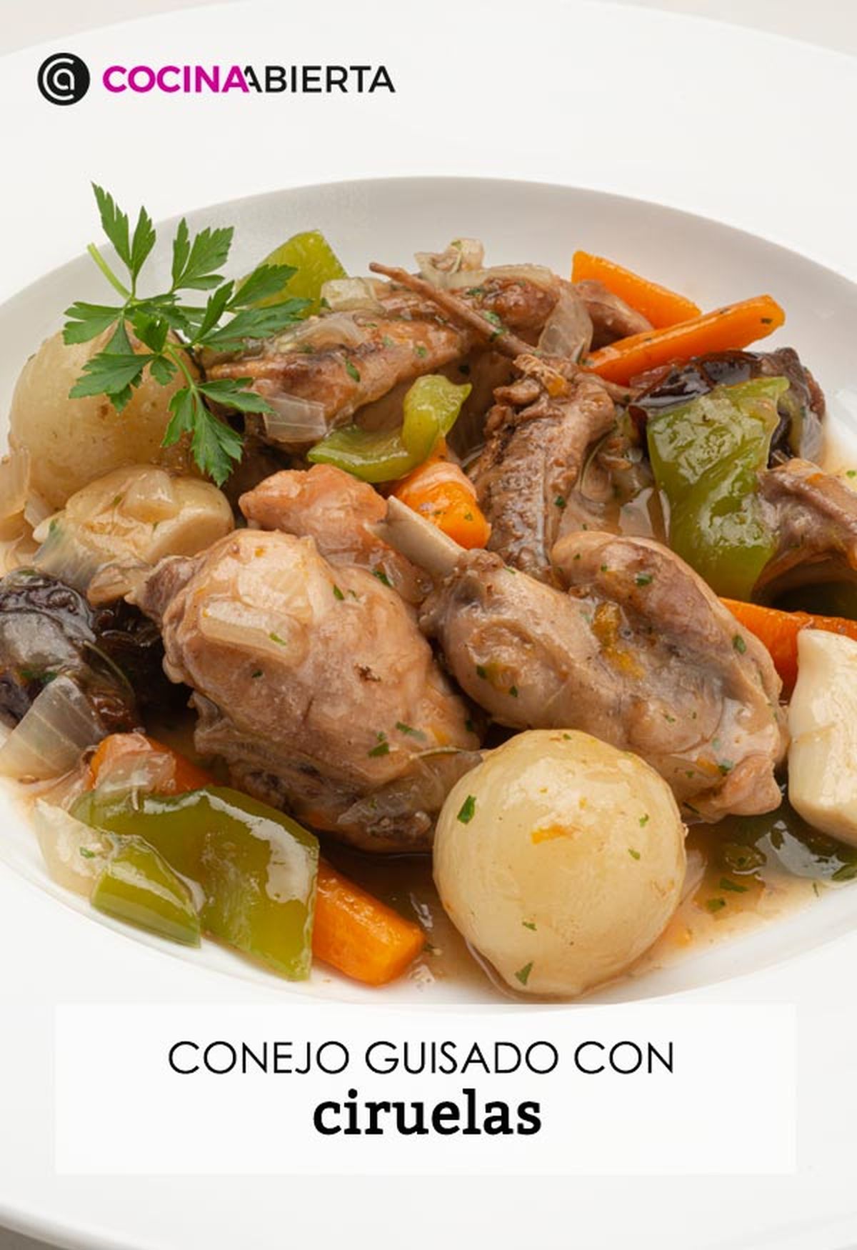 karl6645 conejo ciruelas v