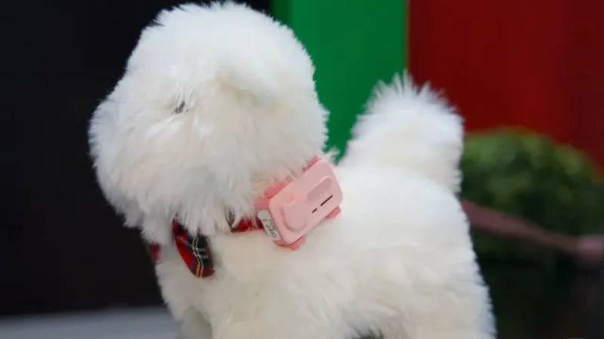 Un terminal muy completo y, a todas luces, útil.