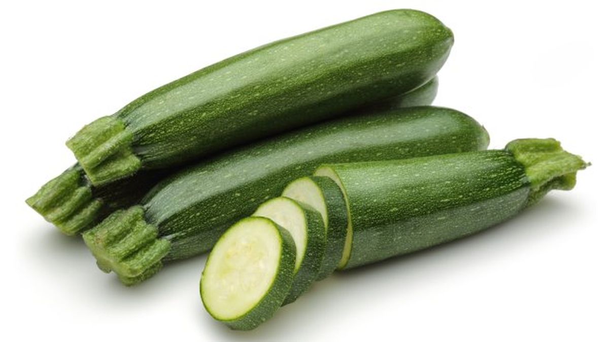 que verduras pueden comer los perros calabacin