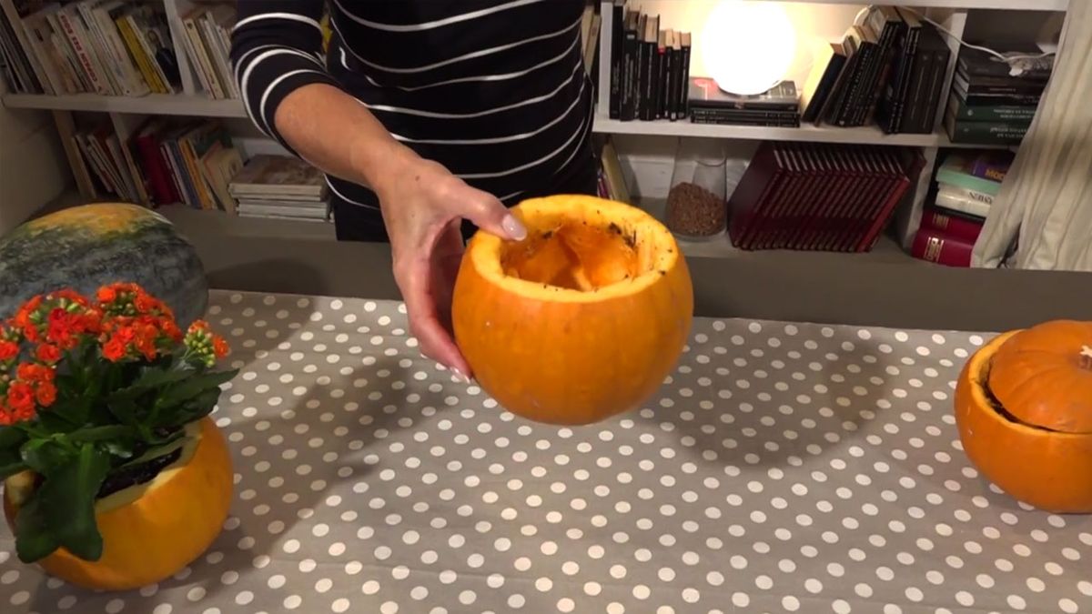 centros florales calabaza tiesto