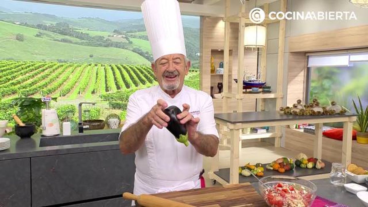 karl7203 ablandar berenjena 1