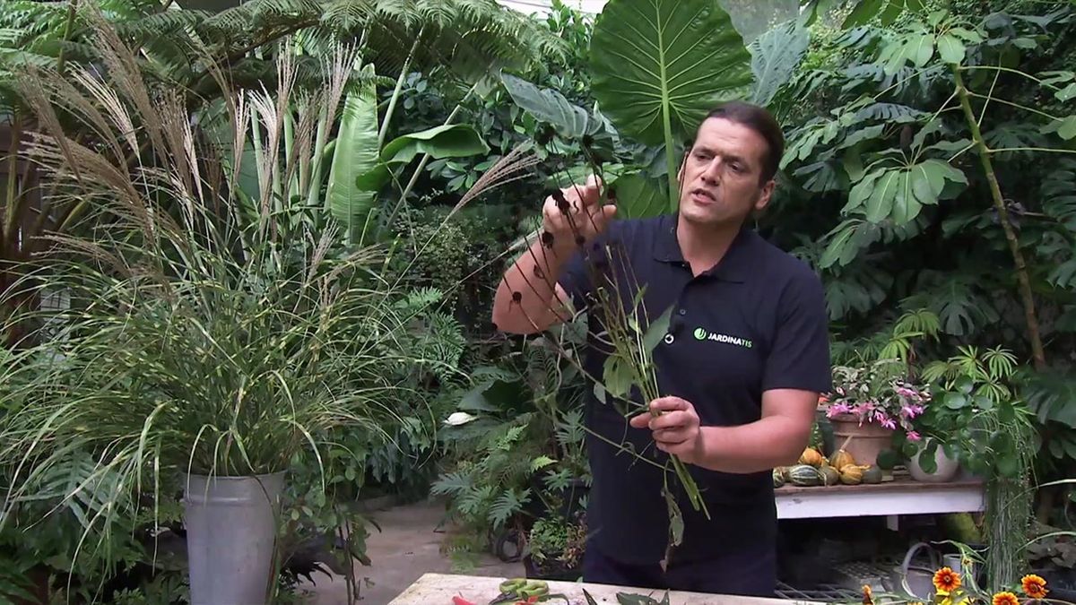 deco 754 jardin Miscanthus zebrinus arte floral