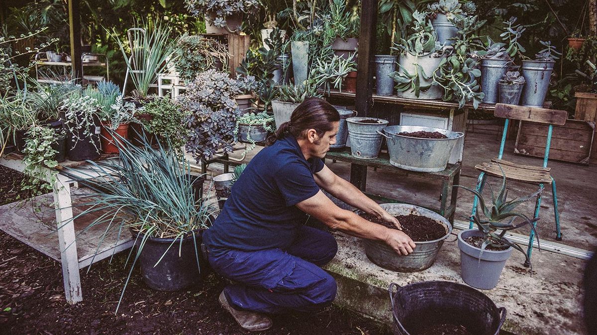 brico 1037 jardin composiciones grises recipientes chapa galvanizada