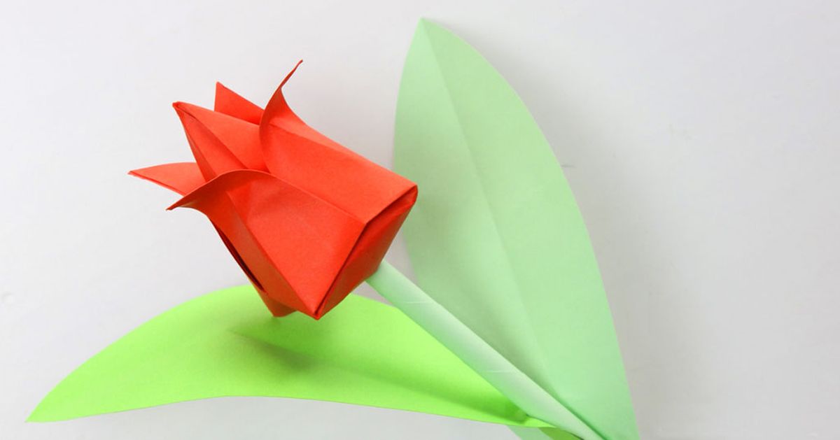 Flores de papel con forma de tulipán