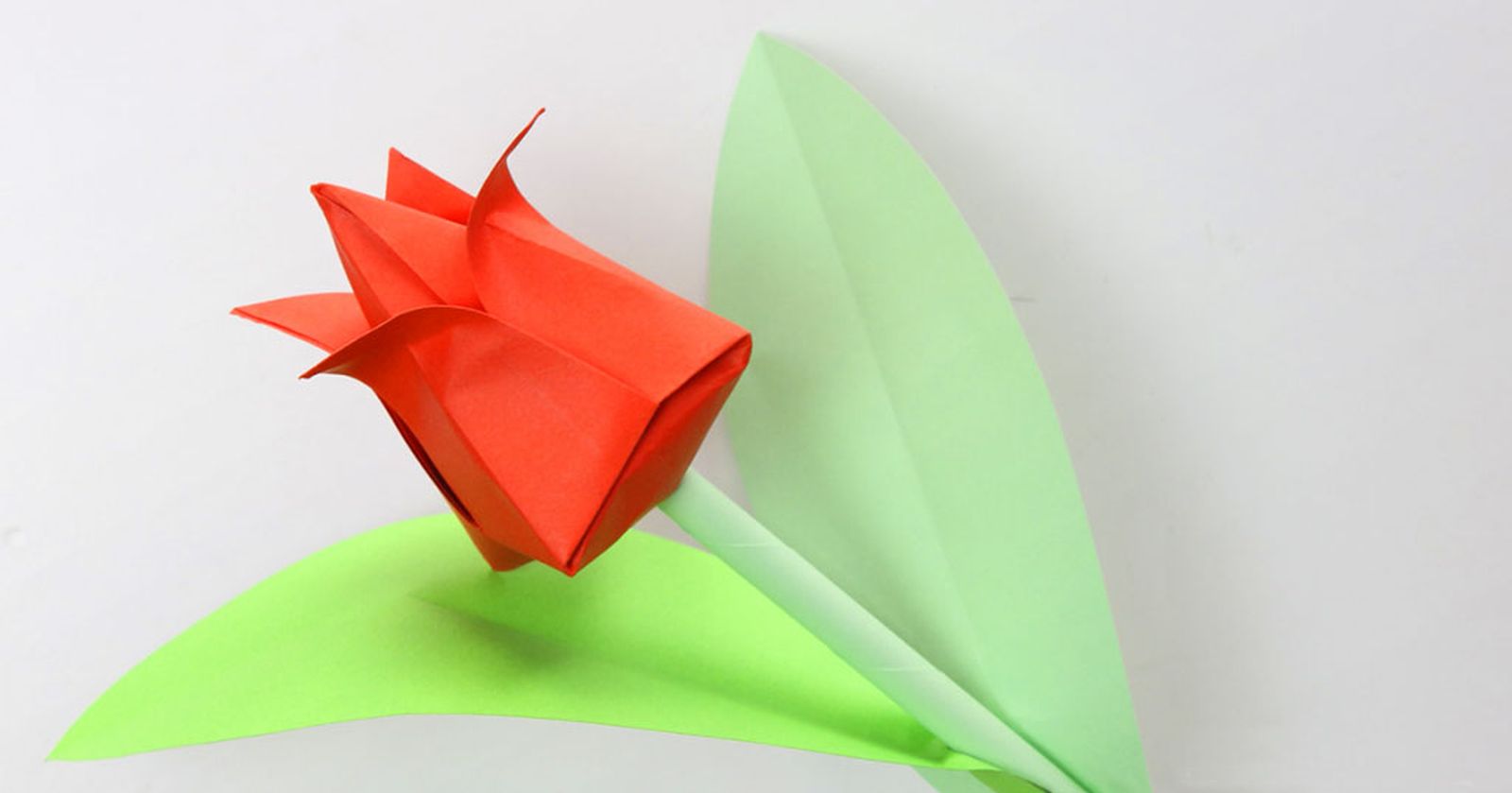 Flores de papel con forma de tulipán