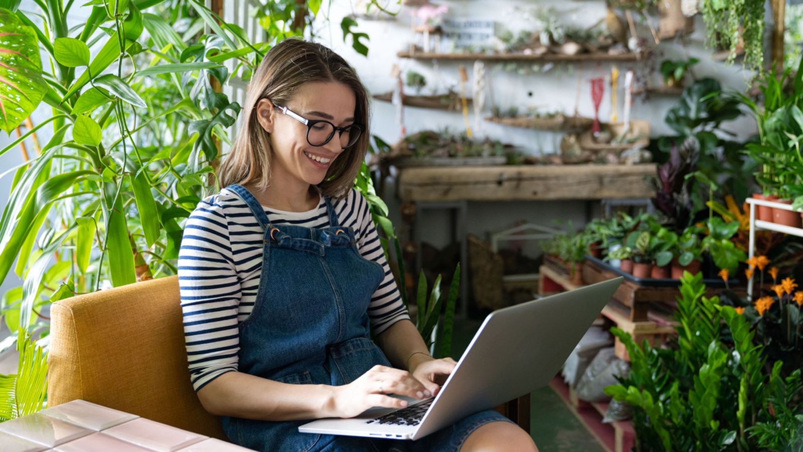 que comprar en amazon prime day