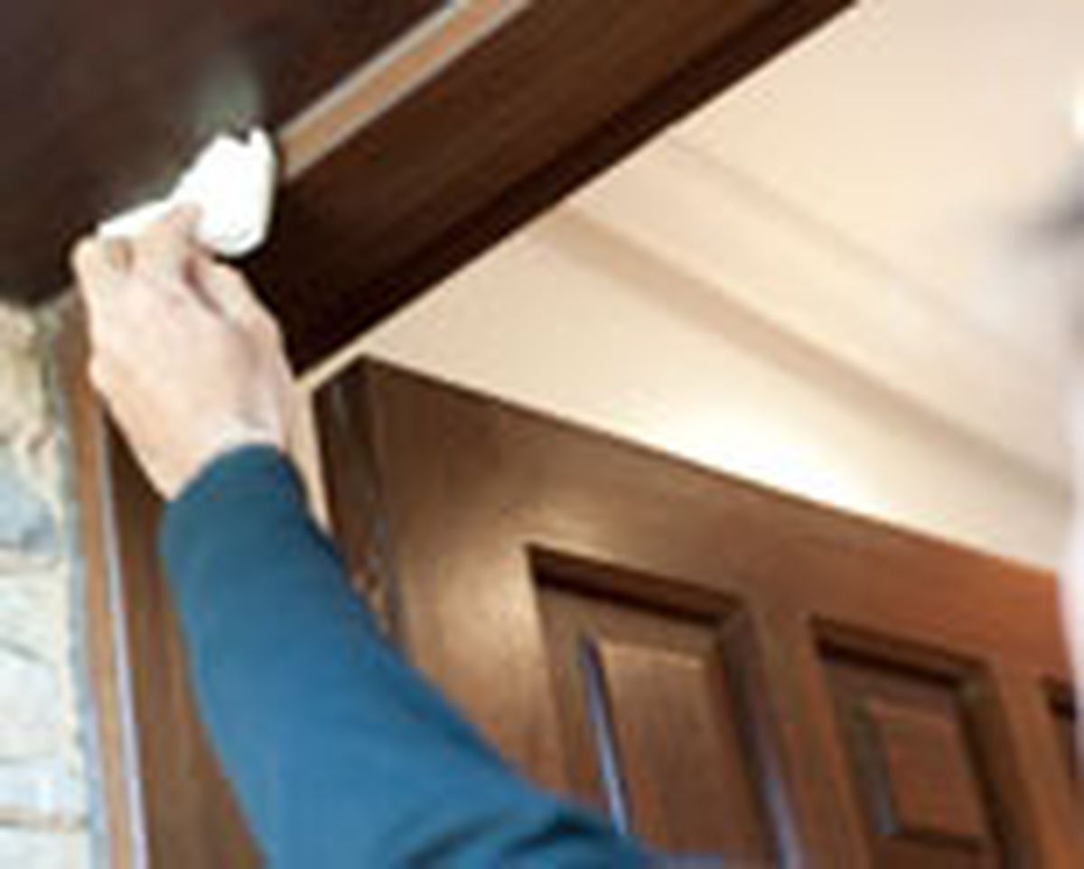 brico 0647 1 mosquitera puerta paso 4