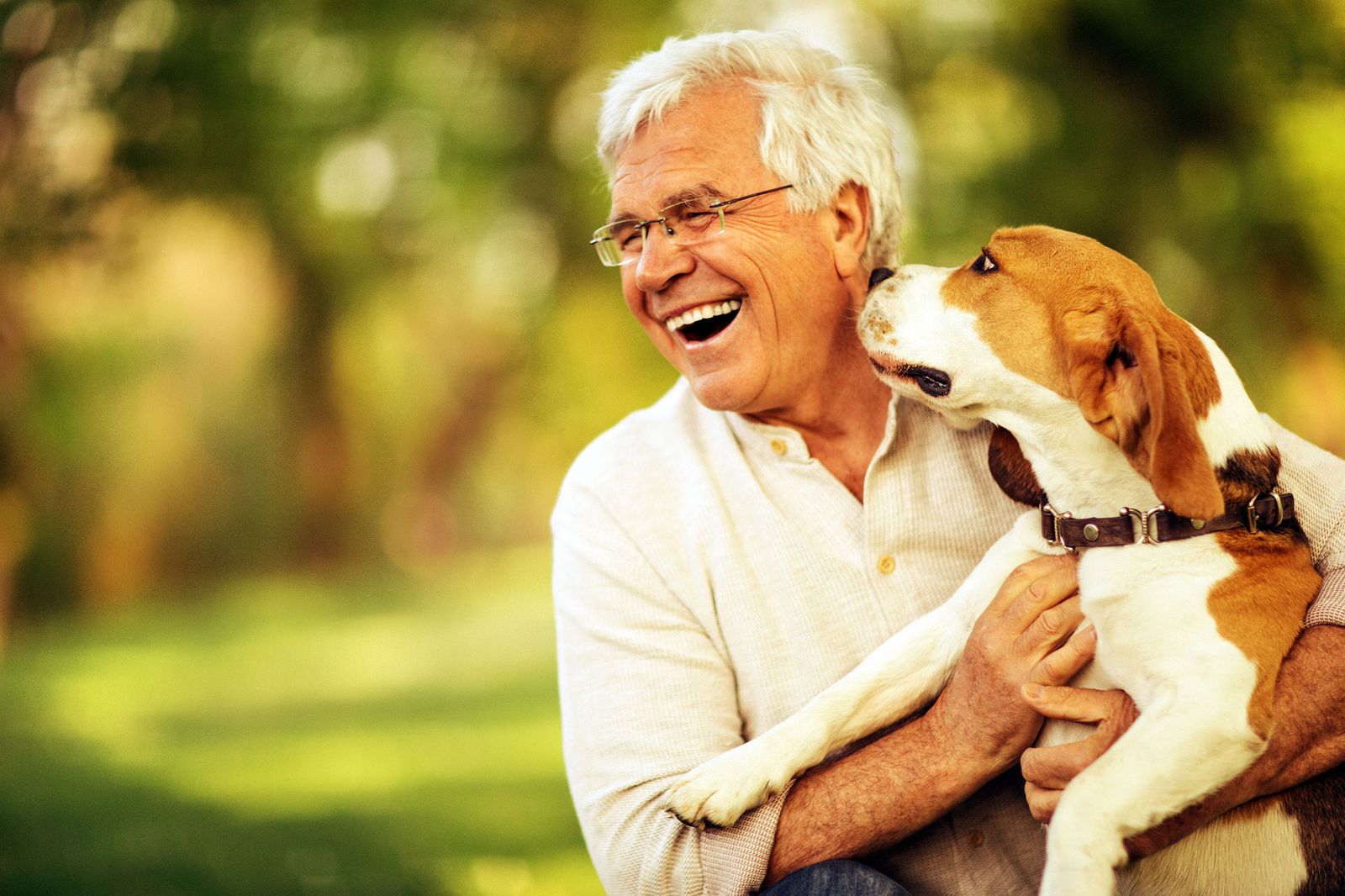 mascotas perros personas mayores