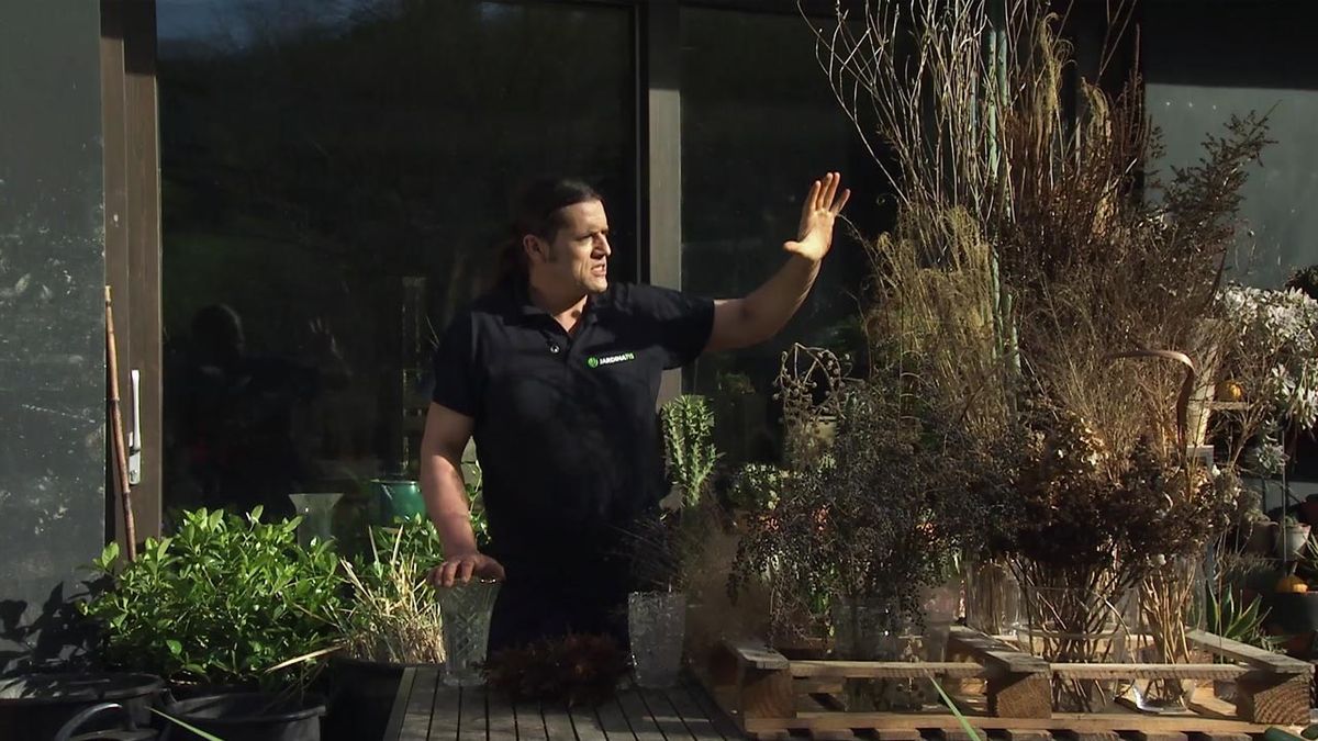 deco 761 jardin belleza flores secas