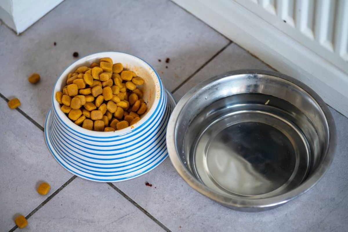 Lavarlos con agua caliente (70 °C) para eliminar bacterias y residuos grasos.