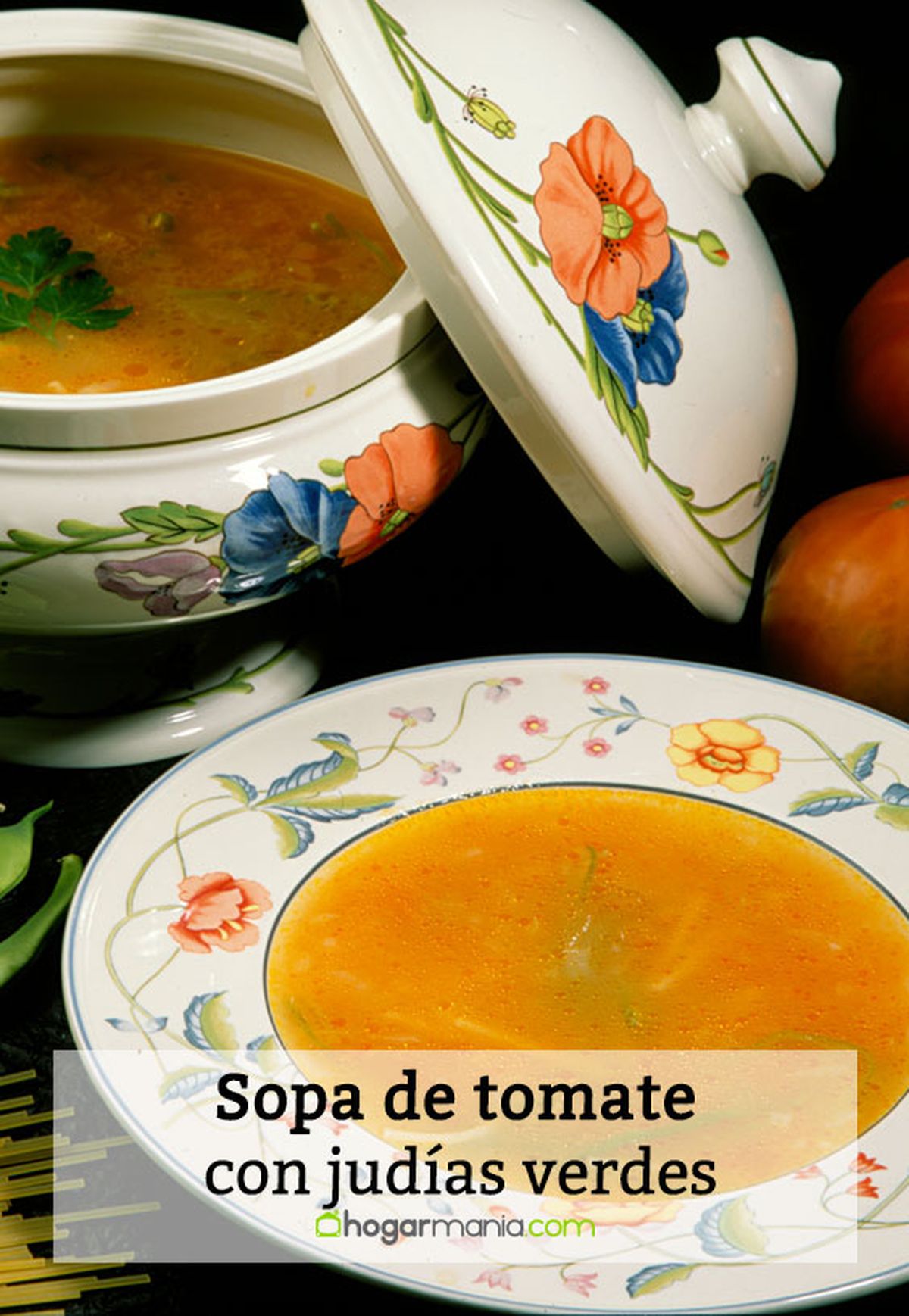 041 1 sopa tomate judias verdes pin