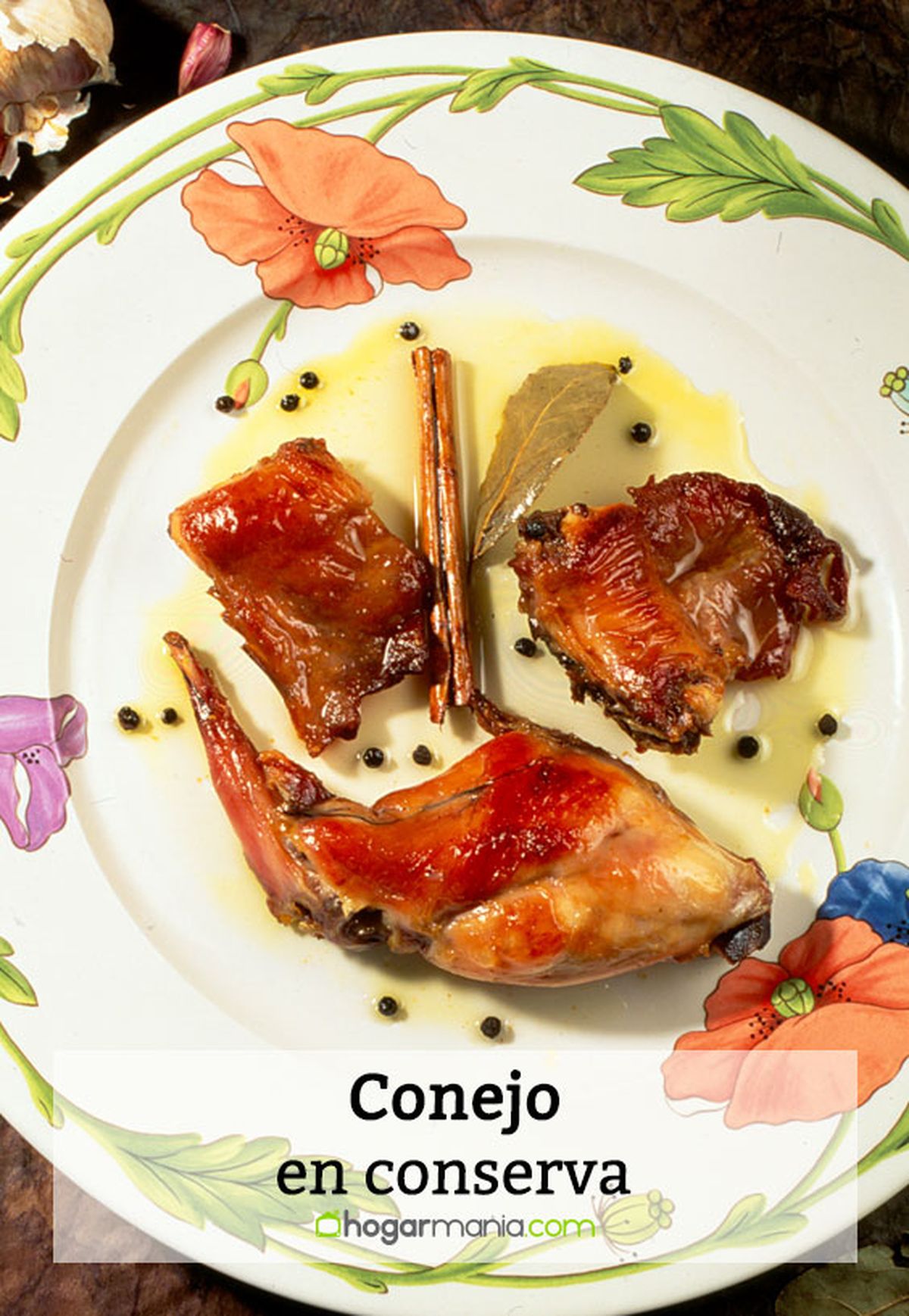 111 1 conejo conserva pin