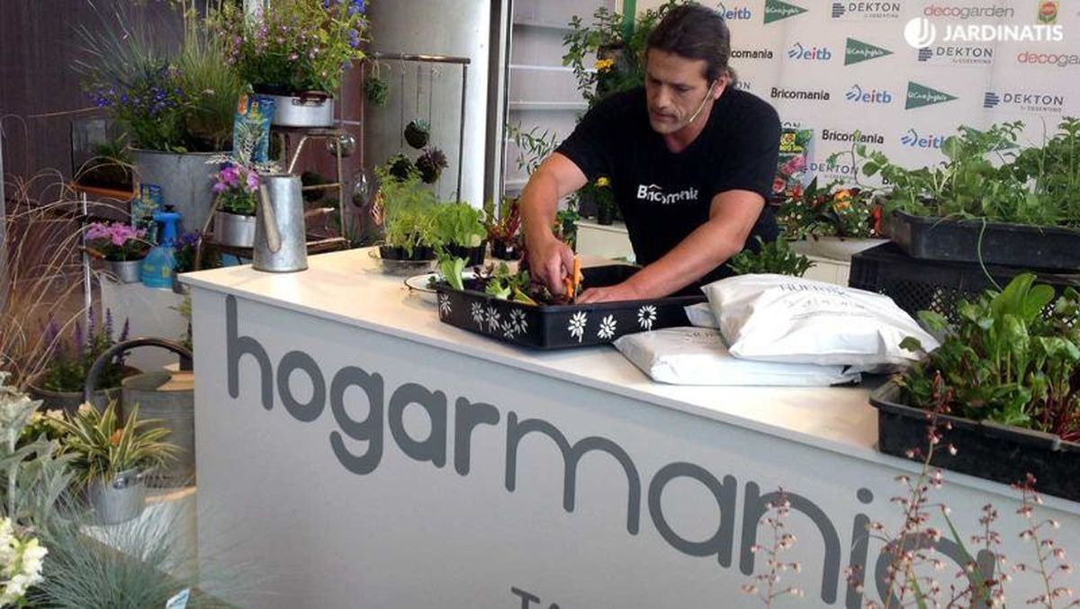 Huerto urbano en bolsas de sustrato