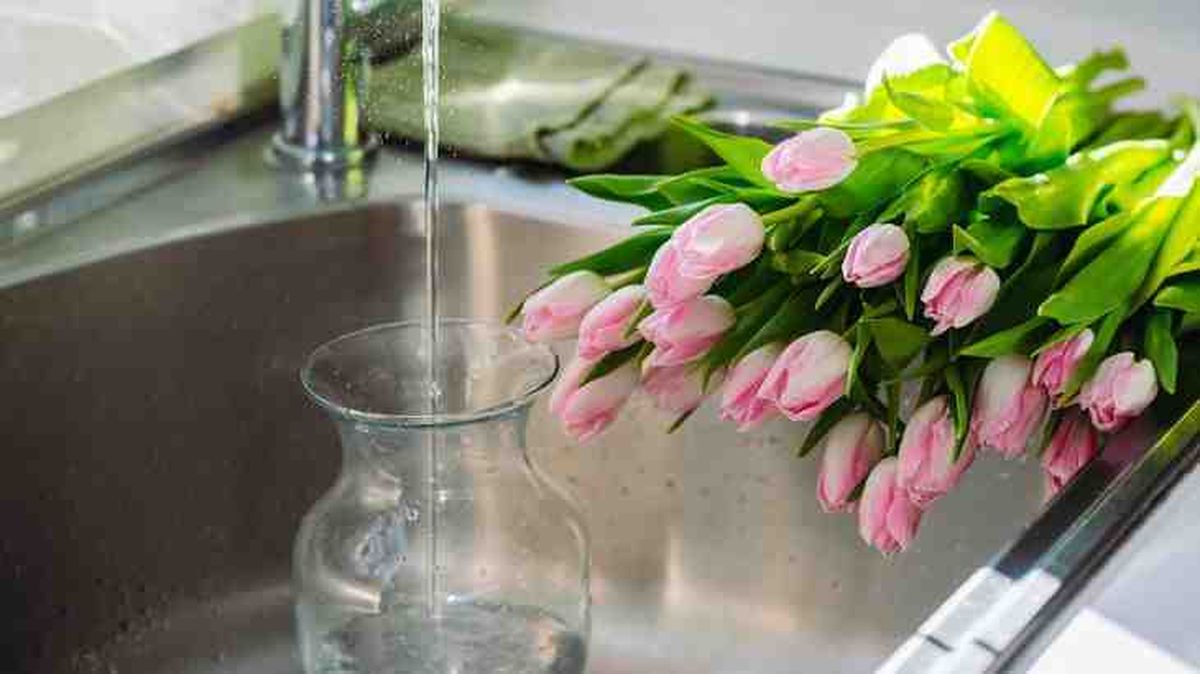meter flores en agua para alargar su vida