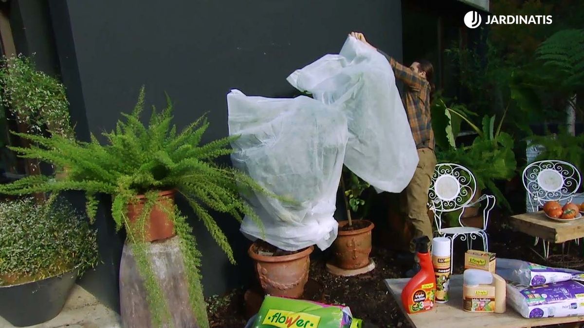 Protege tus plantas de exterior con mallas antiheladas
