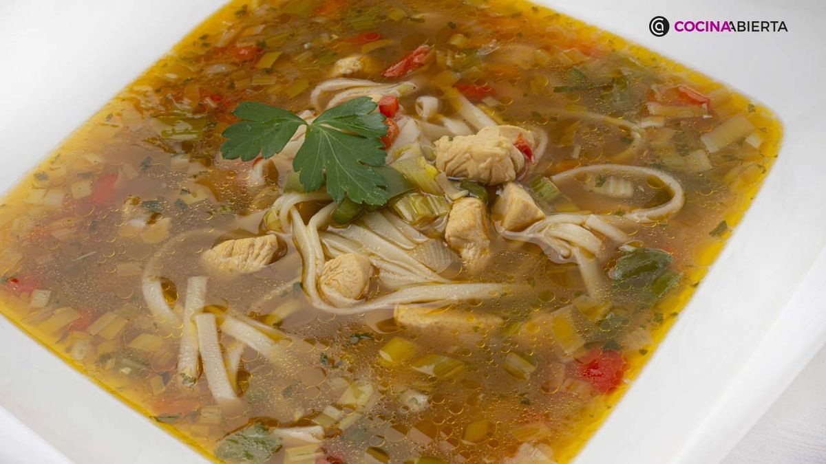 KARL6934 sopa udon xl