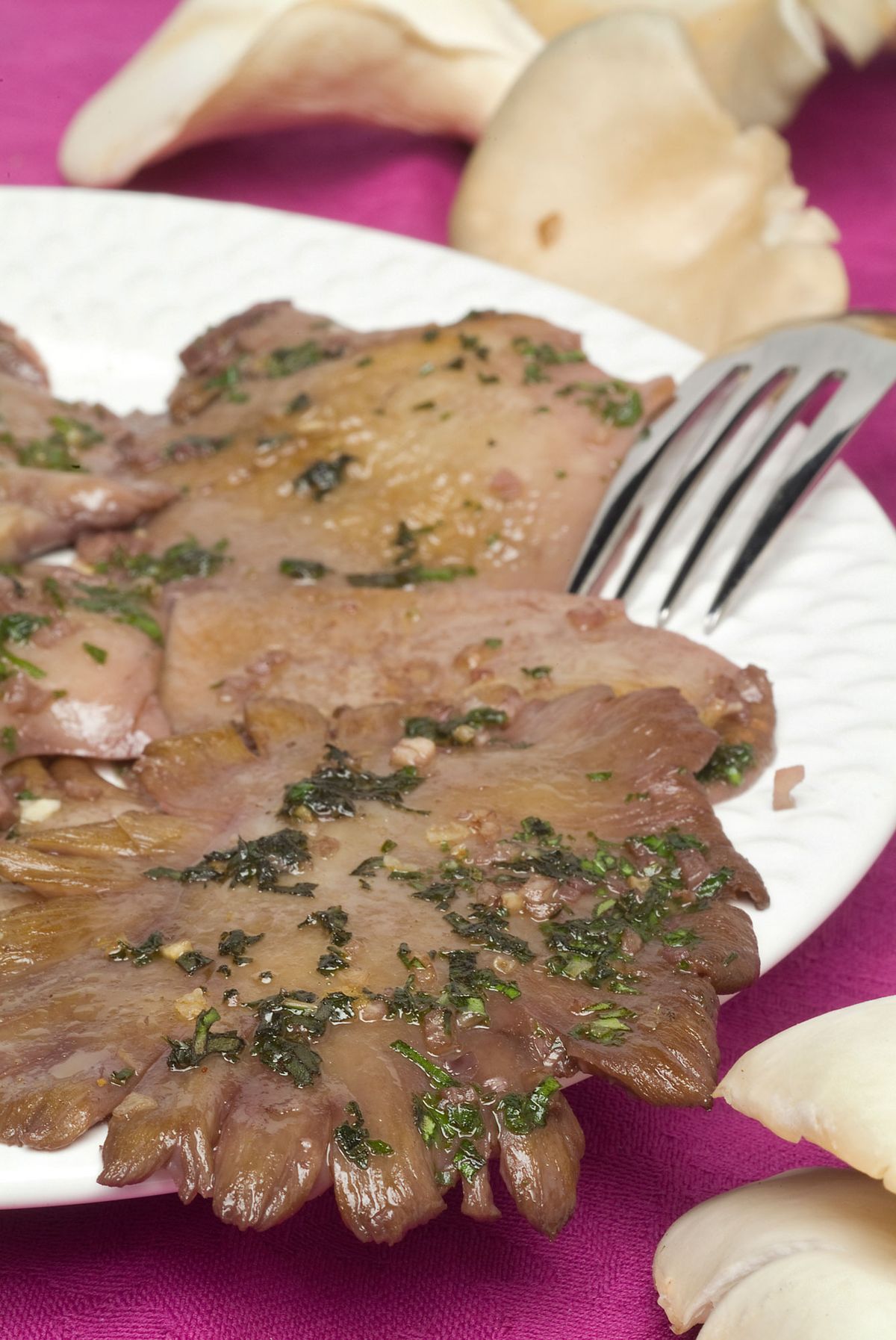 0229 setas al vino xl