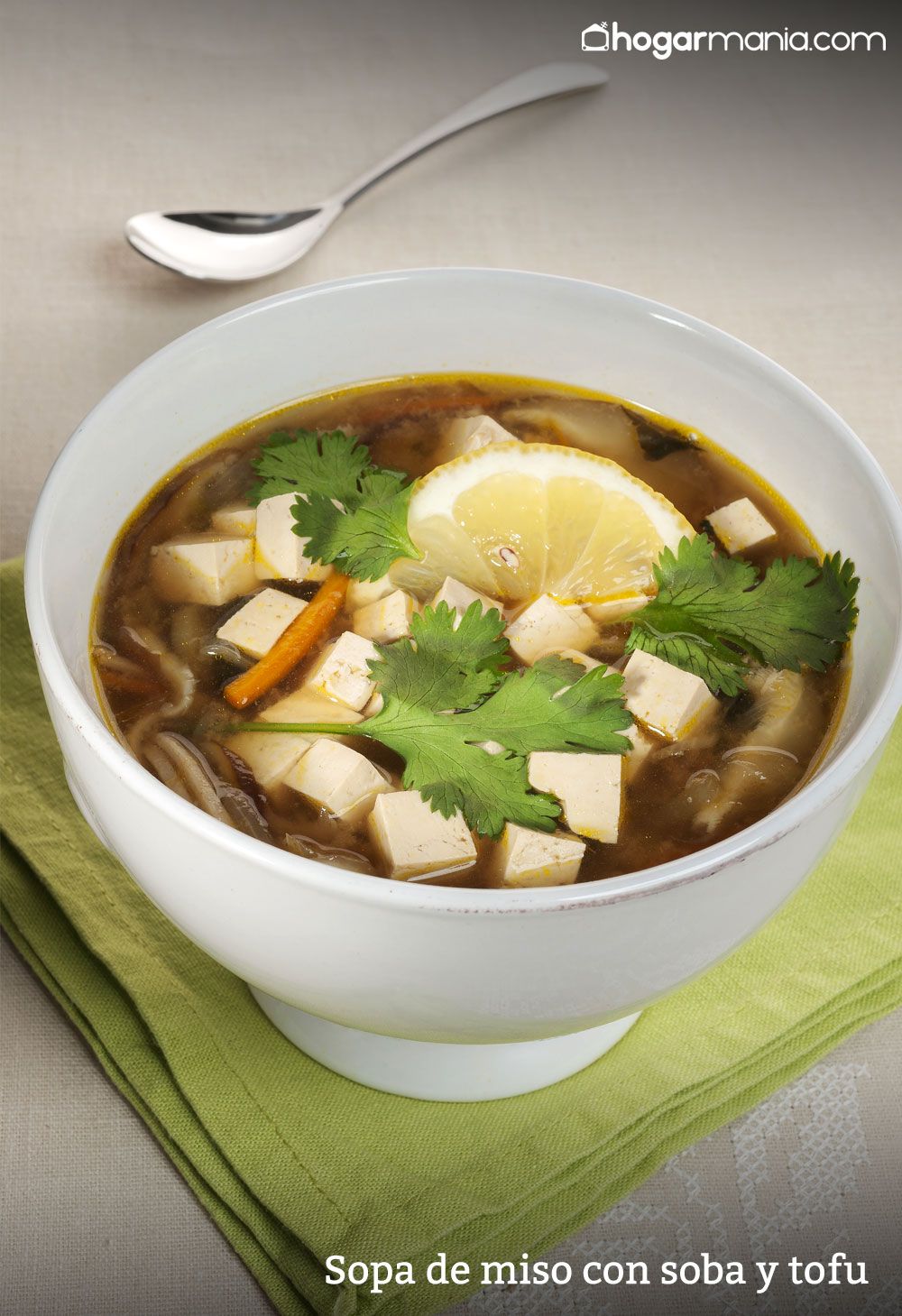 CABI0033 Zuhaitz Sopa de miso con soba y tofu vertical xl