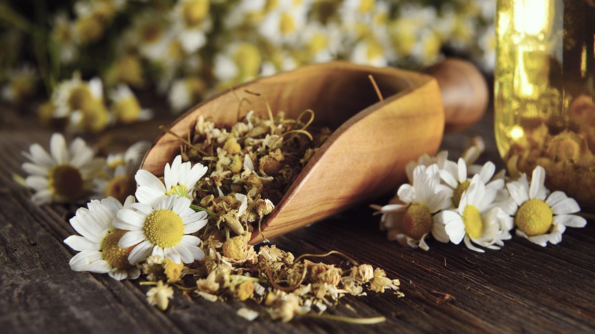 infusion de manzanilla