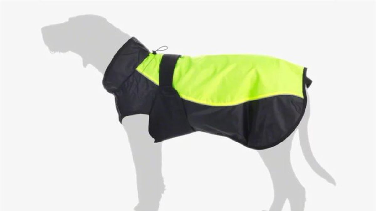 Chubasquero para perros impermeable y transpirable ILLUME.
