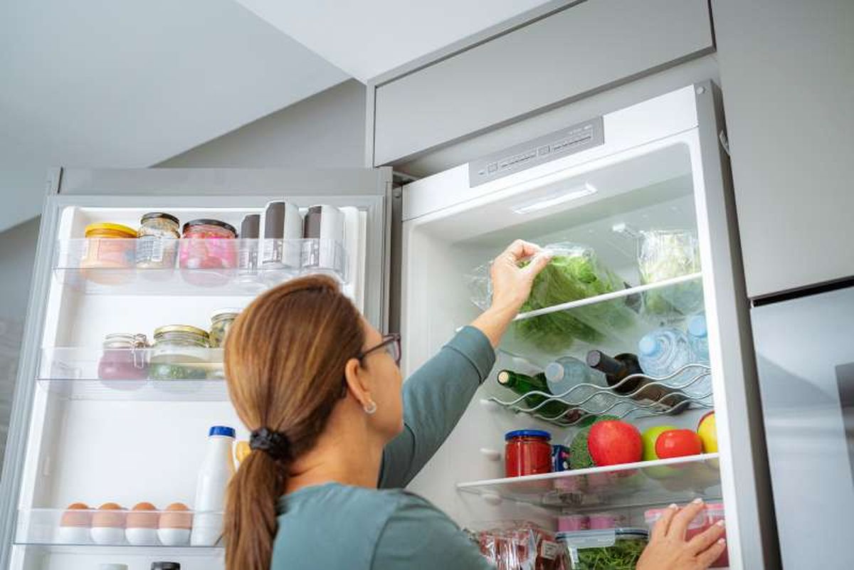 Los lácteos y platos preparados deben ir en las baldas superiores