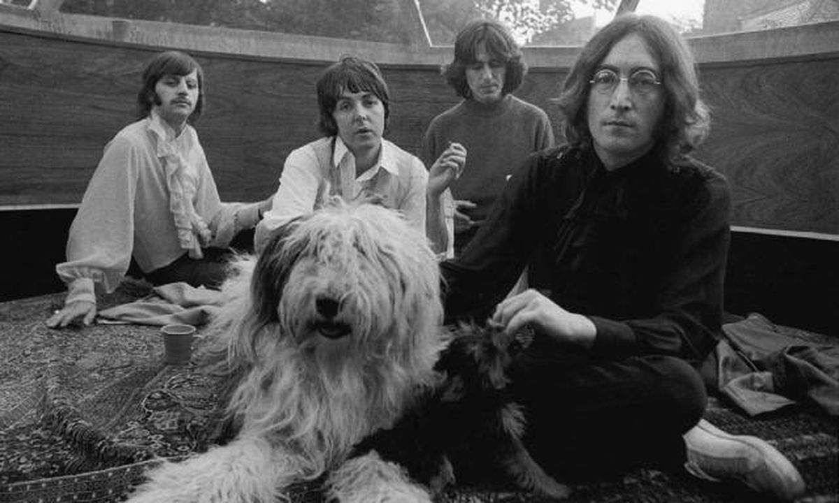 Grupo The Beatles integrantes John Lennon, Paul McCartney George Harrison  Ringo Starr con perra Martha