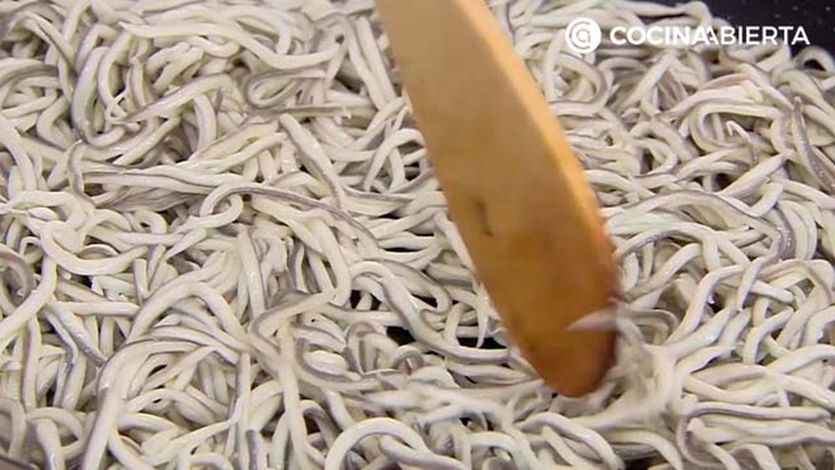 KARL6885 gulas huevo p4