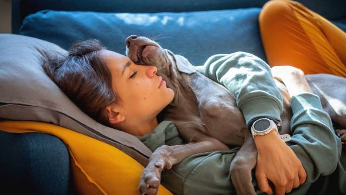 dormir con perro